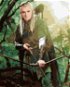Zuty - Legolas in the Forest (Lord of the Rings), 40×50 cm, without frame and without canvas shut of - Painting by Numbers