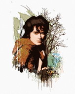 Zuty - Painted Frodo (Lord of the Rings), 40×50 cm, without frame and without canvas shut off - Painting by Numbers