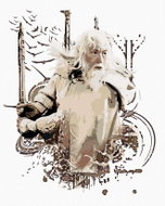 Zuty - Painted Gandalf (Lord of the Rings), 40×50 cm, without frame and without canvas shut off - Painting by Numbers