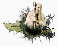 Zuty - Painted Saruman (Lord of the Rings), 40×50 cm, stretched canvas on frame - Painting by Numbers
