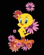 Zuty - Tweety and pink flowers (looney tunes), 40×50 cm, stretched canvas on frame - Painting by Numbers
