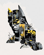 Zuty - Batman in grey and yellow, 40×50 cm, stretched canvas on frame - Painting by Numbers