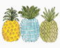 Barevné ananasy (Haley Bush), 80×100 cm, bez rámu a bez vypnutí plátna - Painting by Numbers
