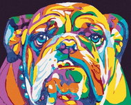 Colorful bulldog, 40×50 cm, without frame and without canvas - Painting by Numbers