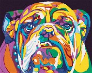Barevný bulldog, 80×100 cm, vypnuté plátno na rám - Painting by Numbers