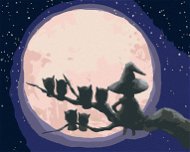 Čarodejnica a sovy sediace proti mesiacu, 80 × 100 cm, bez rámu a bez napnutia plátna - Maľovanie podľa čísel