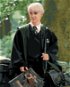 Draco s obludáriem (Harry Potter), 40×50 cm, bez rámu a bez vypnutí plátna - Painting by Numbers
