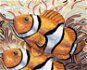 Dve ryby Nemo, 80 × 100 cm, bez rámu a bez napnutia plátna - Maľovanie podľa čísel