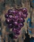 Fialové hroznové víno, 40×50 cm, vypnuté plátno na rám - Painting by Numbers