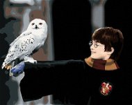 Harry Potter s Hedvikou na ruce, 40×50 cm, bez rámu a bez vypnutí plátna - Painting by Numbers