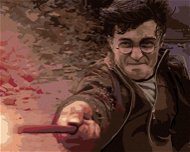 Harry Potter v souboji s Voldemortem, 40×50 cm, bez rámu a bez vypnutí plátna - Painting by Numbers