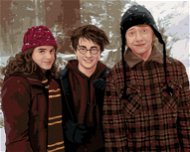 Harry Potter, Hermiona a Ron v zasněžené krajině, 40×50 cm, bez rámu a bez vypnutí plátna - Painting by Numbers