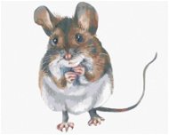 Hnědá myška, 80×100 cm, vypnuté plátno na rám - Painting by Numbers