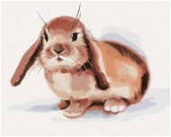 Hnědý králík na bílém pozadí, 40×50 cm, vypnuté plátno na rám - Painting by Numbers