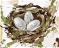 Hnízdo s vejci (Haley Bush), 80×100 cm, bez rámu a bez vypnutí plátna - Painting by Numbers