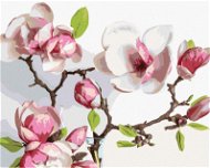 Jarní kvetoucí magnólie, 80×100 cm, vypnuté plátno na rám - Painting by Numbers