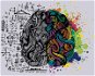 Kreativní pojetí lidského mozku, 80×100 cm, vypnuté plátno na rám - Painting by Numbers