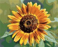 Květ slunečnice, 80×100 cm, vypnuté plátno na rám - Painting by Numbers