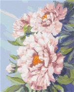 Kvety ružovej pivonky, 40 × 50 cm, bez rámu a bez napnutia plátna - Maľovanie podľa čísel