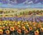 Levandulové pole se slunečnicemi, 80×100 cm, bez rámu a bez vypnutí plátna - Painting by Numbers