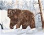 Medvěd v zasneženém lese, 80×100 cm, bez rámu a bez vypnutí plátna - Painting by Numbers