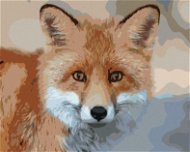 Mladá líška, 80 × 100 cm, bez rámu a bez napnutia plátna - Maľovanie podľa čísel