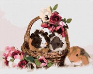 Morčata v košíku s květinami, 80×100 cm, bez rámu a bez vypnutí plátna - Painting by Numbers