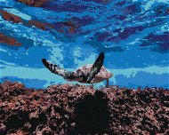 Mořská želva pod hladinou, 80×100 cm, vypnuté plátno na rám - Painting by Numbers