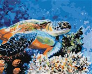 Mořská želva, 40×50 cm, vypnuté plátno na rám - Painting by Numbers