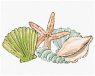 Morské mušle a hviezdice (Haley Bush), 80×100 cm, bez rámu a bez vypnutia plátna - Maľovanie podľa čísel