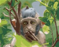 Opice v prírodnom lese, 80×100 cm, bez rámu a bez vypnutia plátna - Maľovanie podľa čísel