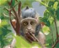 Opice v přírodním lese, 80×100 cm, vypnuté plátno na rám - Painting by Numbers