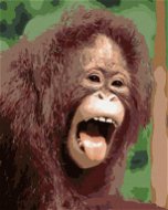 Orangutan s otevřenou tlamou, 80×100 cm, bez rámu a bez vypnutí plátna - Painting by Numbers