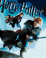 Plakát Harry Potter a princ dvojí krve Ron a Ginny, 40×50 cm, bez rámu a bez vypnutí plátna - Painting by Numbers
