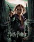 Plakát Harry Potter a relikvie smrti Hermiona, 40×50 cm, bez rámu a bez vypnutí plátna - Painting by Numbers