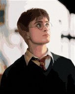 Portrét Harry Potter, 40×50 cm, bez rámu a bez vypnutí plátna - Painting by Numbers