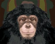 Portrét šimpanze, 80×100 cm, vypnuté plátno na rám - Painting by Numbers
