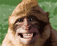 Smějící se opice, 80×100 cm, bez rámu a bez vypnutí plátna - Painting by Numbers
