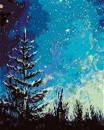 Strom a noční obloha v lese, 80×100 cm, bez rámu a bez vypnutí plátna - Painting by Numbers