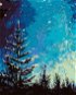 Strom a nočná obloha v lese, 80 × 100 cm, plátno napnuté na rám - Maľovanie podľa čísel