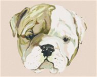 Štěnátko bulldoga (Haley Bush), 80×100 cm, vypnuté plátno na rám - Painting by Numbers