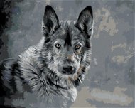 Vlk na šedém pozadí, 80×100 cm, bez rámu a bez vypnutí plátna - Painting by Numbers