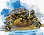Vodná korytnačka, 80 × 100 cm, bez rámu a bez napnutia plátna - Maľovanie podľa čísel