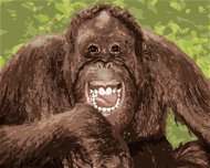 Vysmátý orangutan, 80×100 cm, bez rámu a bez vypnutí plátna - Painting by Numbers