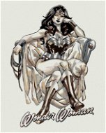 Wonder Woman černobílý plakát, 40×50 cm, vypnuté plátno na rám - Painting by Numbers