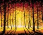 Západ slunce v podzimním lese, 80×100 cm, bez rámu a bez vypnutí plátna - Painting by Numbers