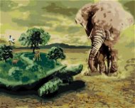 Želva v Africe, 40×50 cm, bez rámu a bez vypnutí plátna - Painting by Numbers