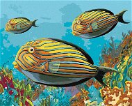 Žluté rybky, 80×100 cm, bez rámu a bez vypnutí plátna - Painting by Numbers