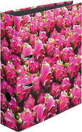 HERLITZ A4 80mm Laminated Pitaya - Arch Folder