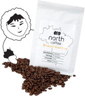 Fresh Arabica Coffee Brazil Santos (1000g) - Coffee